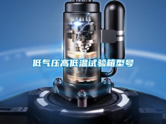 常见问题低气压高低温试验箱型号