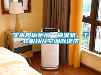 行业新闻实木皮橱柜门—抽湿机、干衣机以及空调除湿法