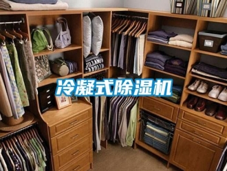 行业新闻冷凝式除湿机