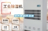 漳州食品除湿机