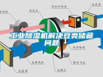 常见问题工业除湿机解决豆类储藏问题