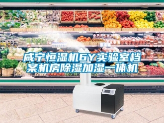 知识百科咸宁恒湿机6Y实验室档案机房除湿加湿一体机