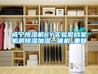 知识百科咸宁恒湿机6Y实验室档案机房除湿加湿一体机_重复