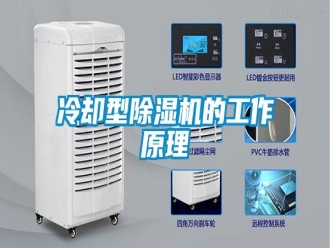 行业新闻冷却型除湿机的工作原理