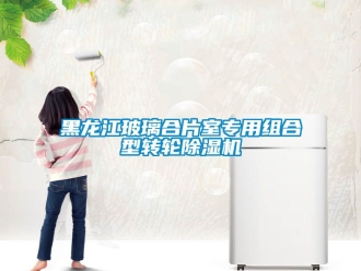 常见问题黑龙江玻璃合片室专用组合型转轮除湿机