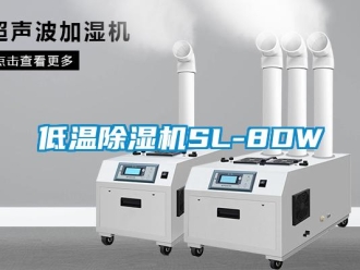 行业新闻低温除湿机SL-8DW