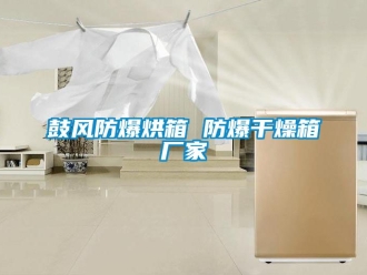 企业新闻鼓风防爆烘箱 防爆干燥箱厂家
