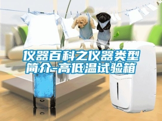 常见问题仪器百科之仪器类型简介-高低温试验箱